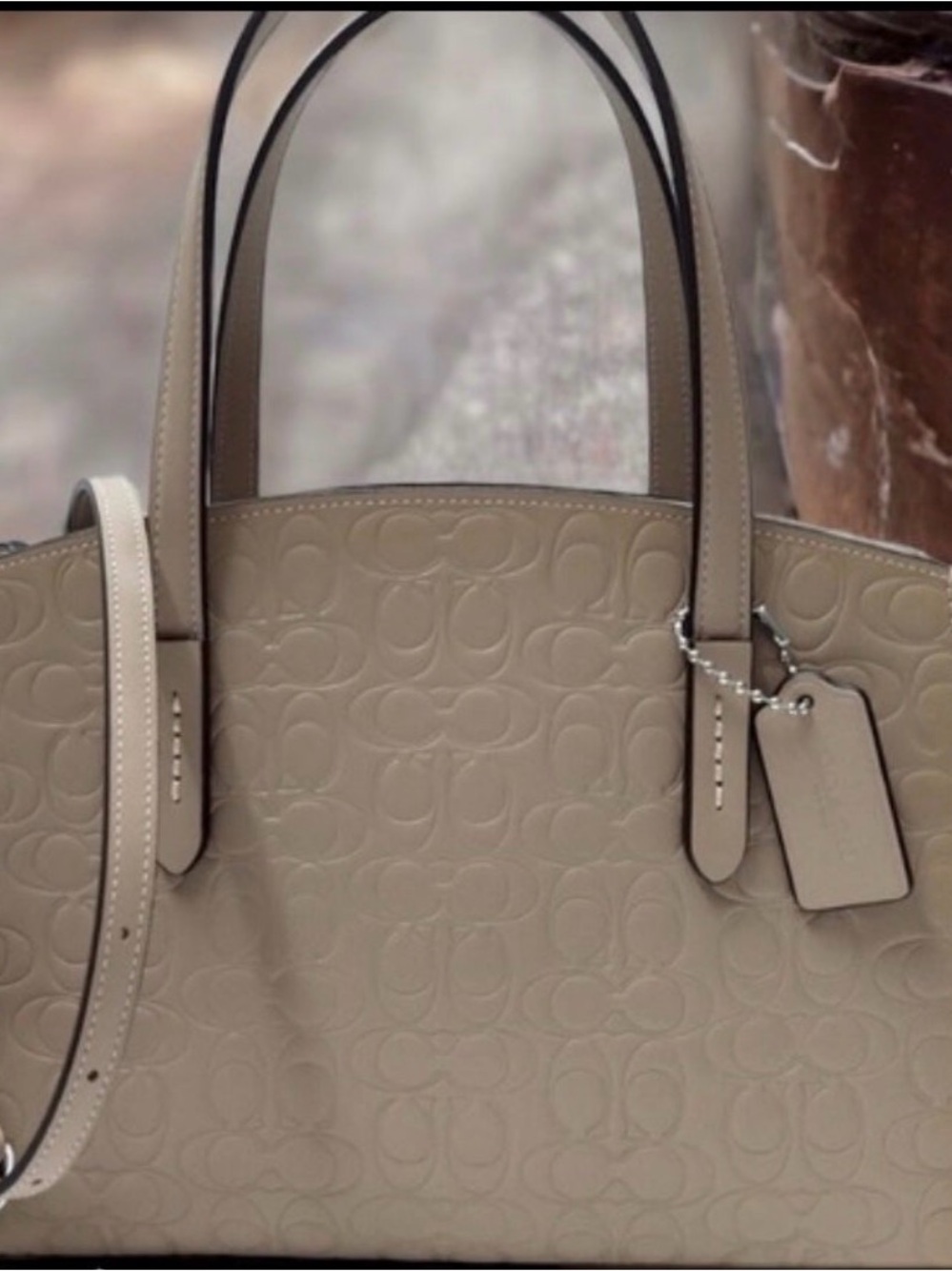 Coach Embossed Logo Tote in Taupe